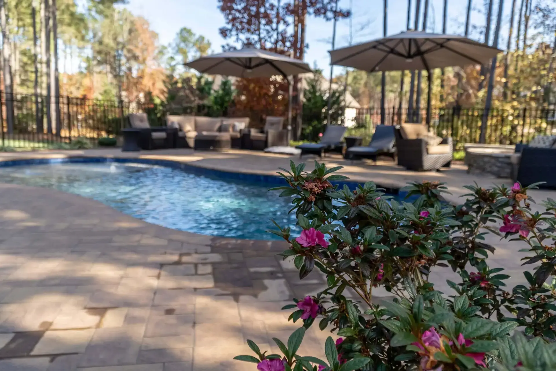Youngsville NC custom concrete pool with Cambridge pavers, landscaping, fire pit, and seat wall - surface view with plant close up